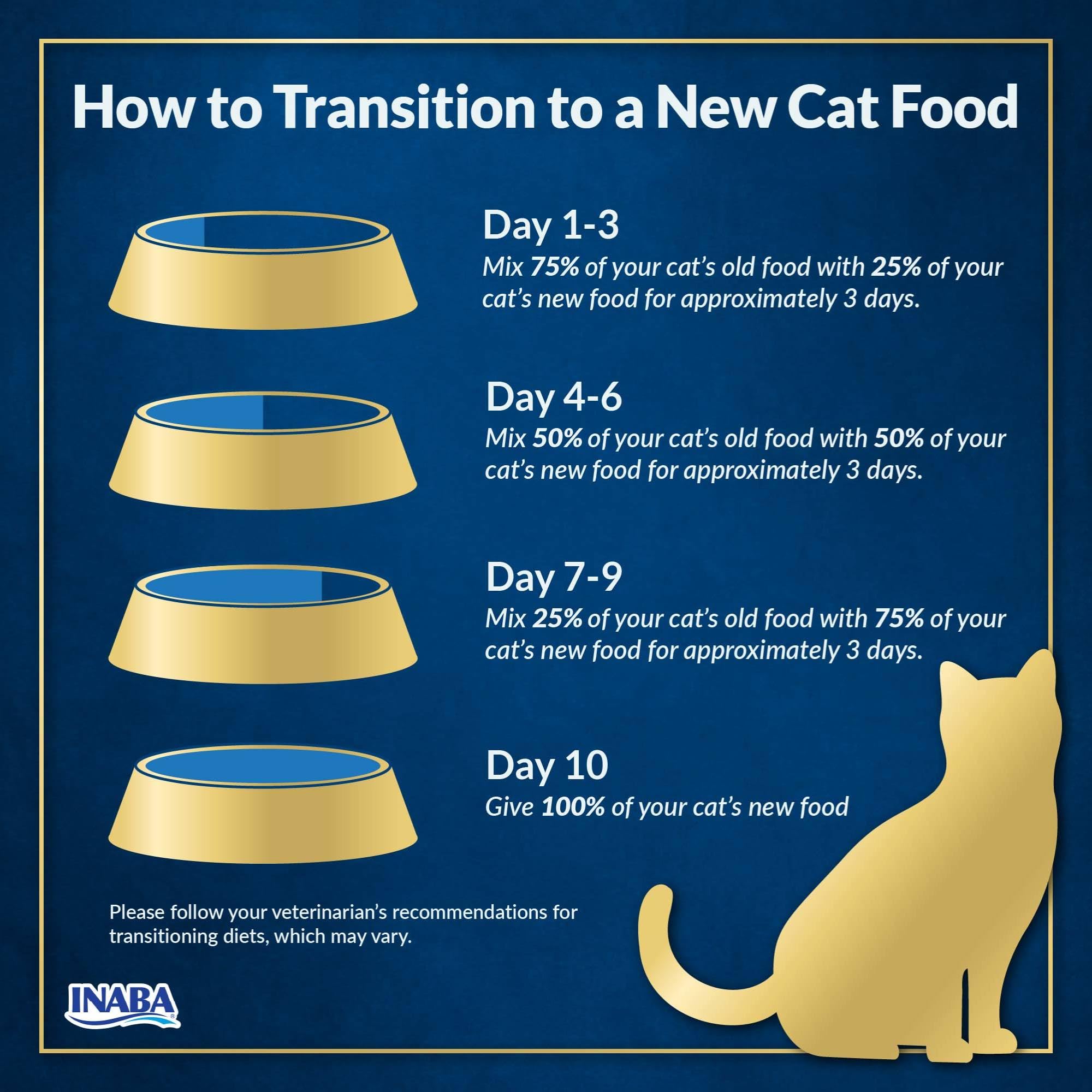 INABA pâtée utilisée en situation quotidienne simplifiant repas du chaton