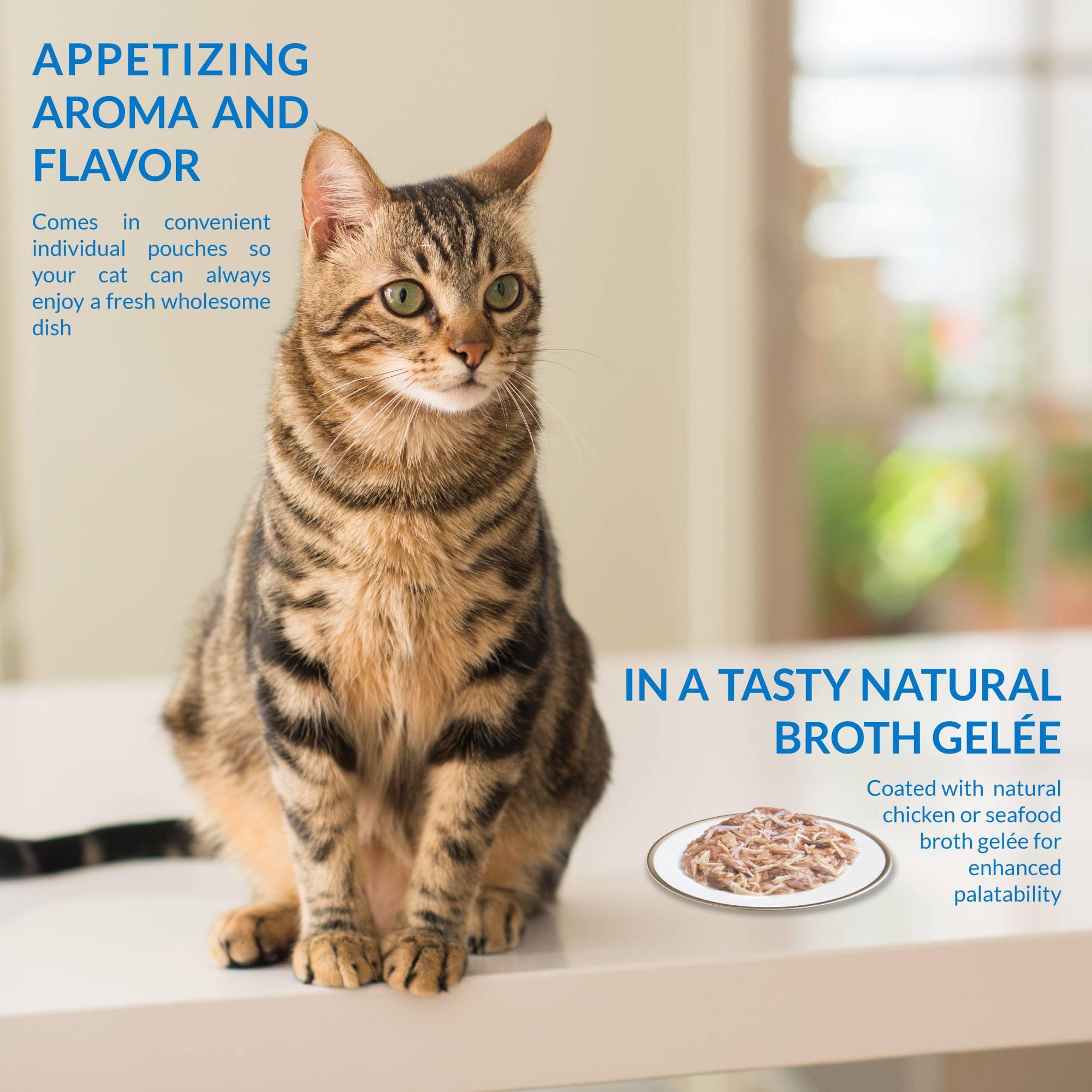 INABA gros plan gelée et morceaux, texture appétissante pour chat