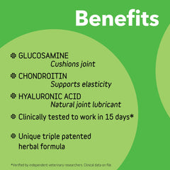 In Clover Connectin ajouté au bol de nourriture pour acceptation canine