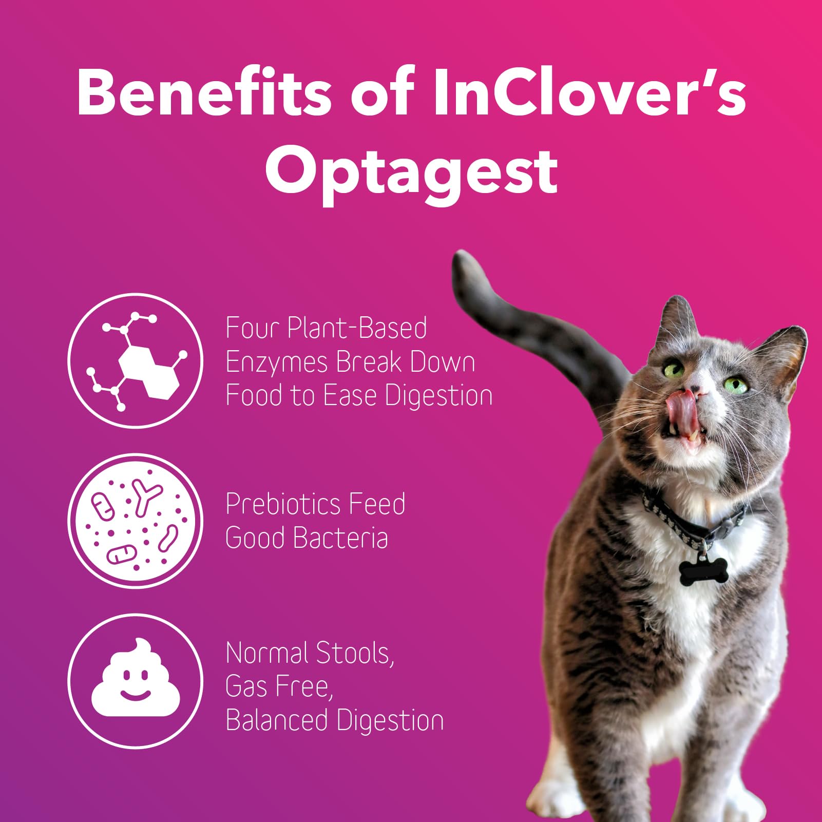 In Clover poudre Optagest versée sur croquettes, bénéfice application facile et pratique
