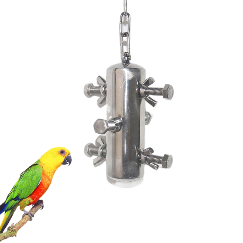 INLDY gros plan sur maillons et cloche, durable pour jouer et attirer l'oiseau