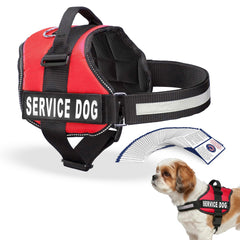Industrial Puppy couture renforcée pour durabilité et sécurité