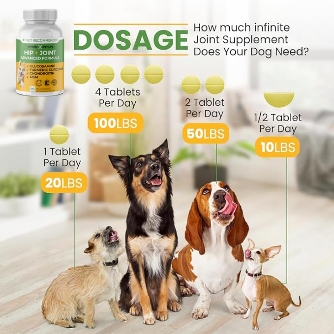 Infinite Pet Supplements bouteille ouverte montrant conservation sûre