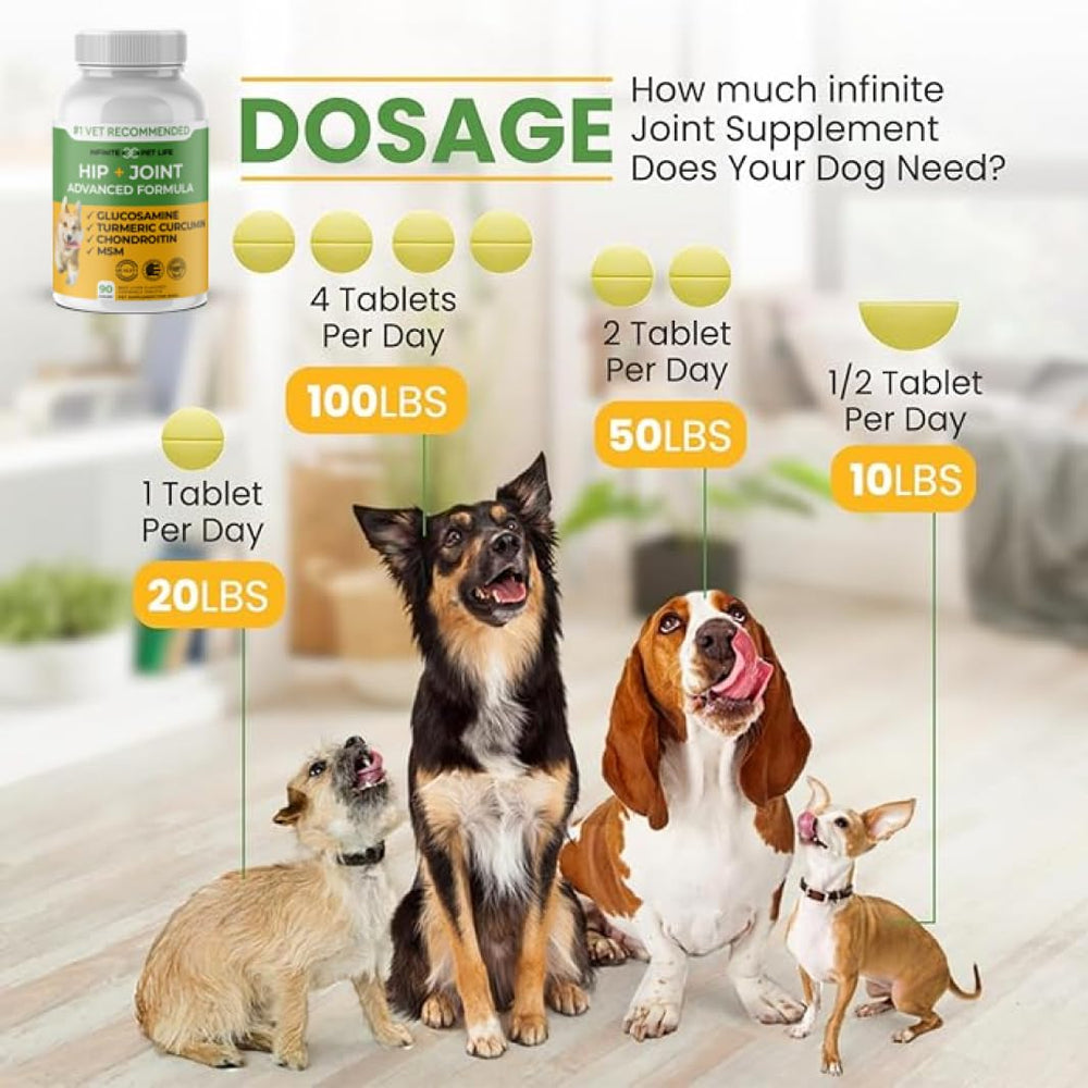 Infinite Pet Supplements bouteille ouverte montrant conservation sûre