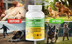 Infinite Pet Supplements comprimé gros plan révélant texture appétente