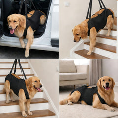 INKNOTE gros plan poignée renforcée pour lever le chien en sécurité