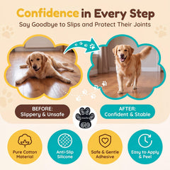 INNERZEN pose d'un coussinet sur patte de chien, application simple et rapide
