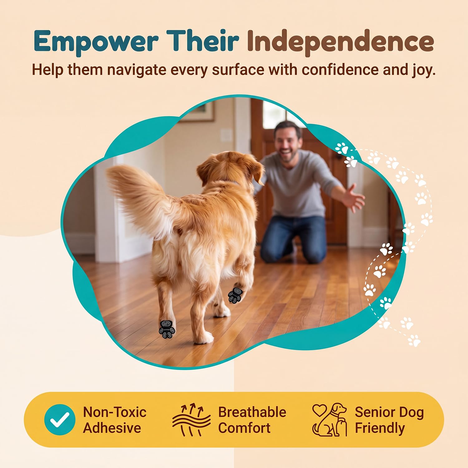 INNERZEN chien marchant à l'intérieur sans glisser, regain de confiance et mobilité