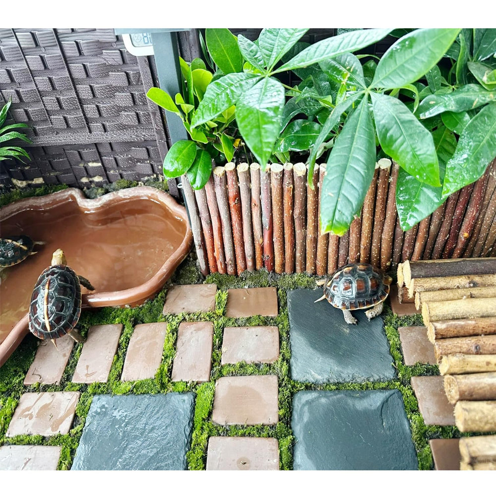 INOSCIND ardoise sous lampe chauffante démontrant rétention de chaleur