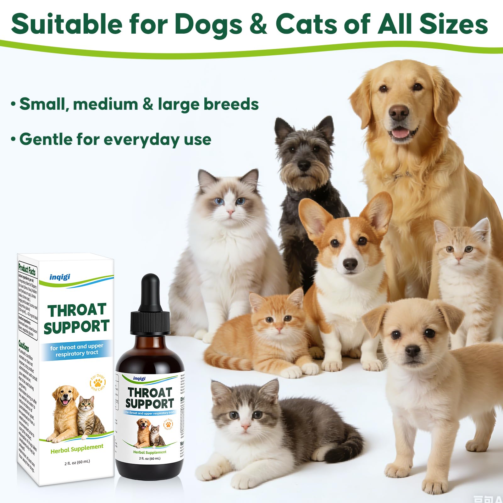 inqigi en situation domestique avec animal, illustre usage quotidien pratique