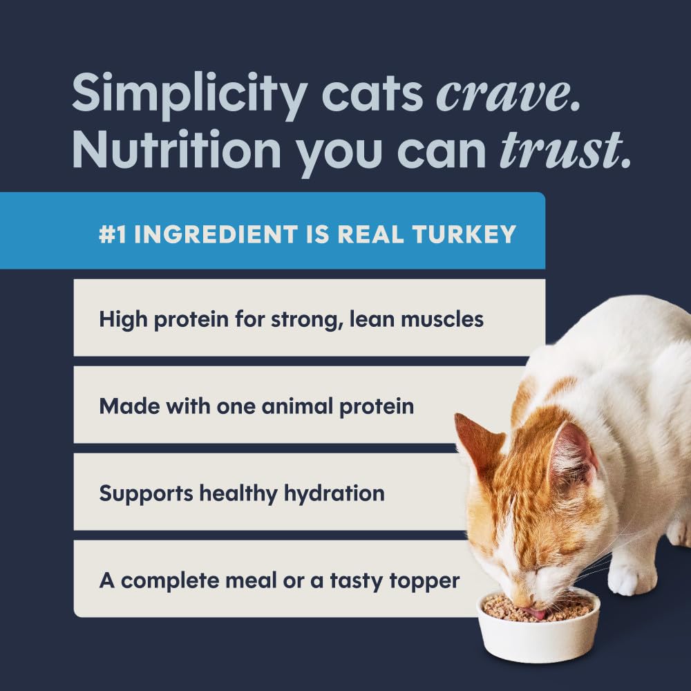 Instinct gamelle remplie, chat mange avec hydratation accrue