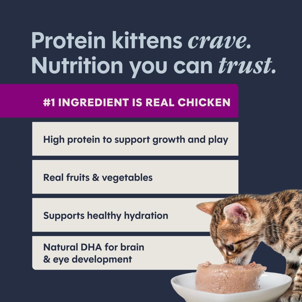 Instinct service en assiette appétissante pour encourager l'alimentation du chaton