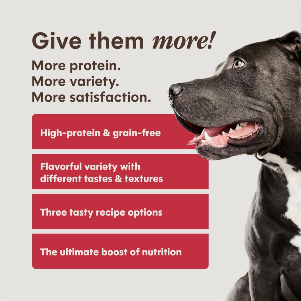 Instinct FreshDried Raw morceau illustrant la richesse en protéines