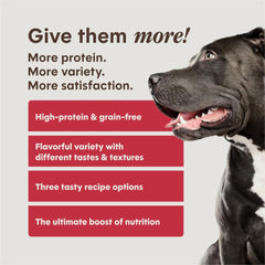 Instinct FreshDried Raw morceau illustrant la richesse en protéines