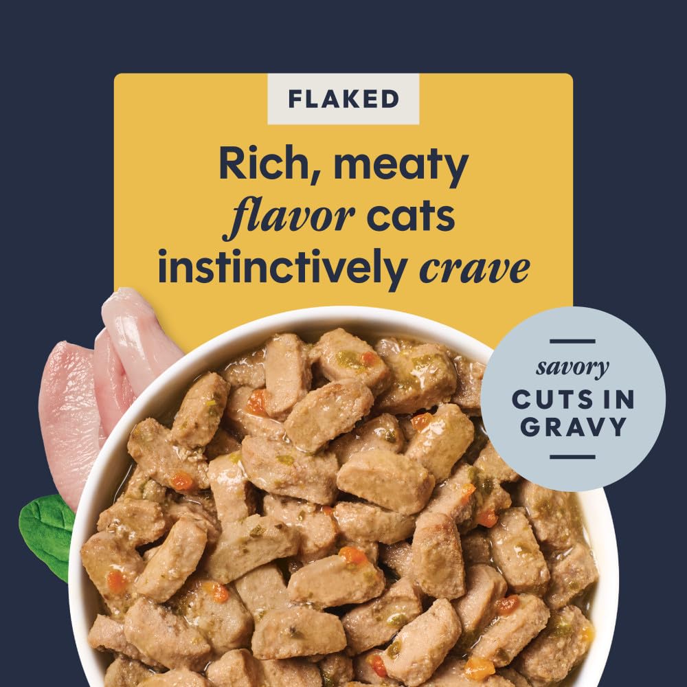 Instinct gros plan des flocons de poulet offrant une texture appétente