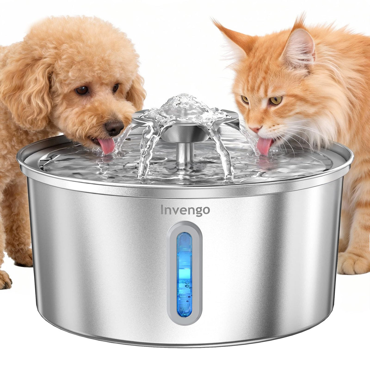 Invengo vue avant de la fontaine en acier inoxydable offrant eau fraîche et hygiène