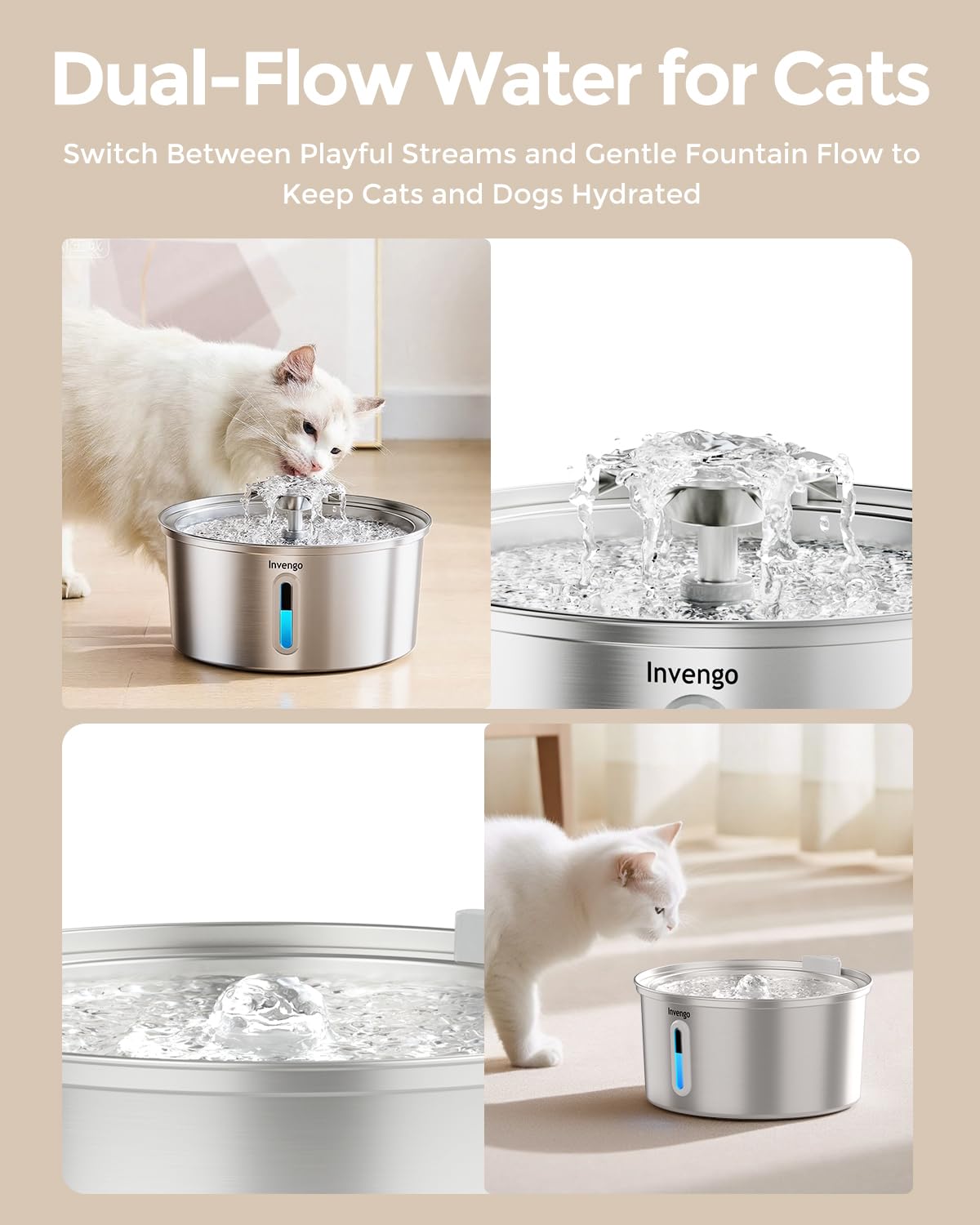 Invengo fontaine en usage avec chat encourage hydratation régulière