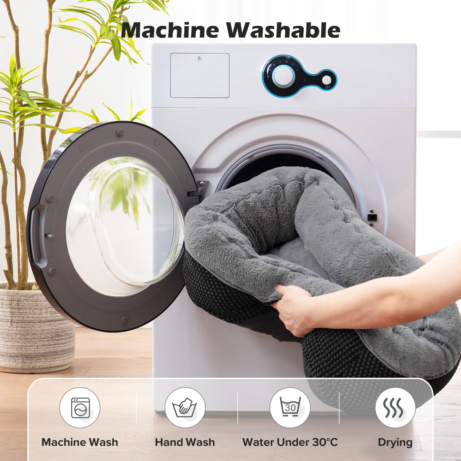 INVENHO comparaison d'échelle montrant espace pour petit chien