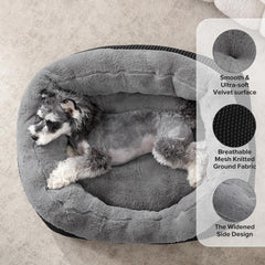 INVENHO gros plan peluche douce offrant apaisement et chaleur