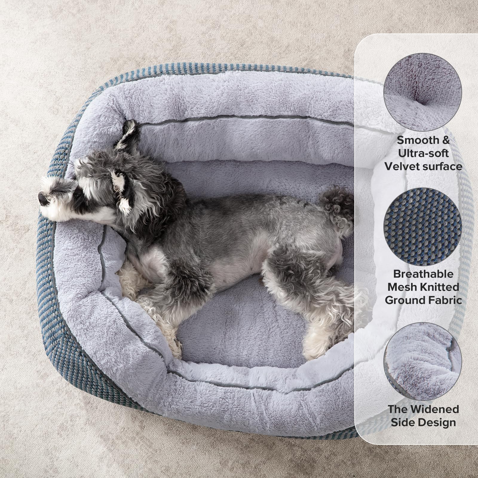INVENHO gros plan peluche douce offrant apaisement au chien