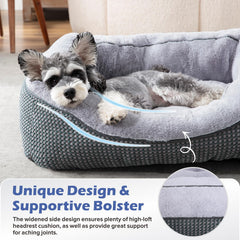INVENHO chien utilisant le lit dans un salon, confort quotidien