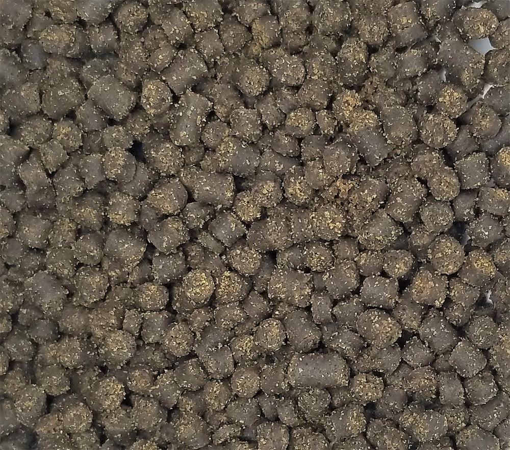 Invert Aquatics granulés en utilisation dans un aquarium, facilite l'alimentation au fond