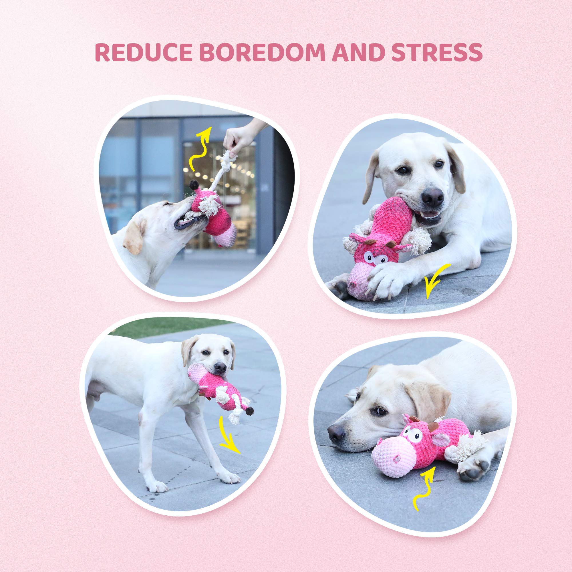 IOKHEIRA chien en train d'attraper la peluche encourage activité et amusement