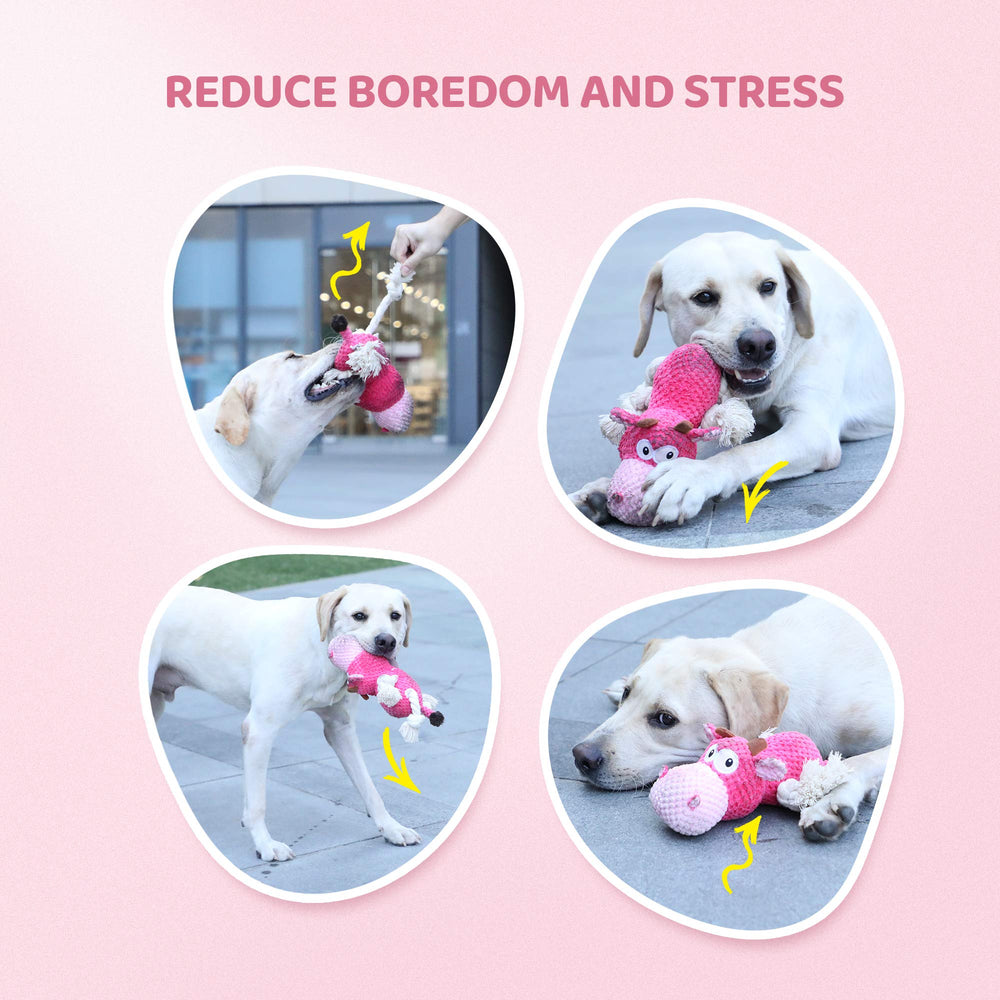 IOKHEIRA chien en train d'attraper la peluche encourage activité et amusement
