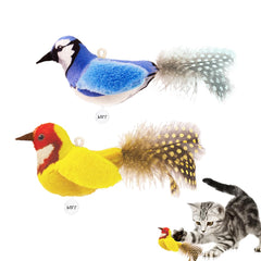 ipawspace image frontale du jouet oiseau montrant emballage et bénéfice attractif