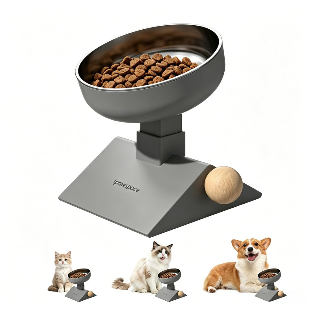 ipawspace vue avant du bol surélevé pour repas plus confortable