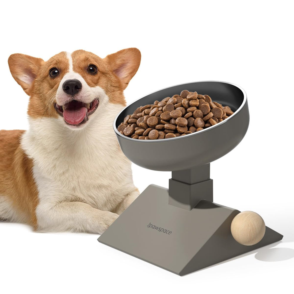 ipawspace style élégant intégré dans une cuisine moderne