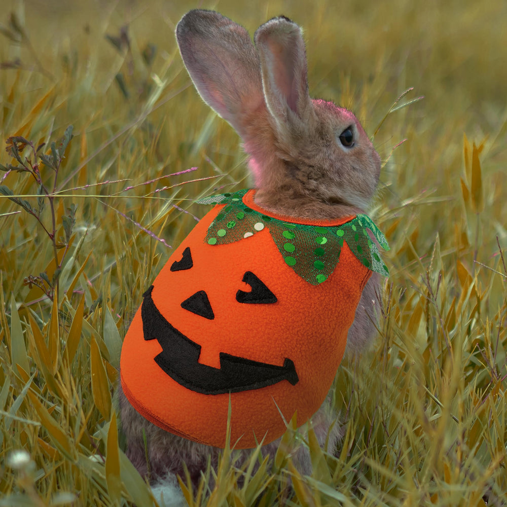 IPRAVOCI décor Halloween, met en valeur le costume festif