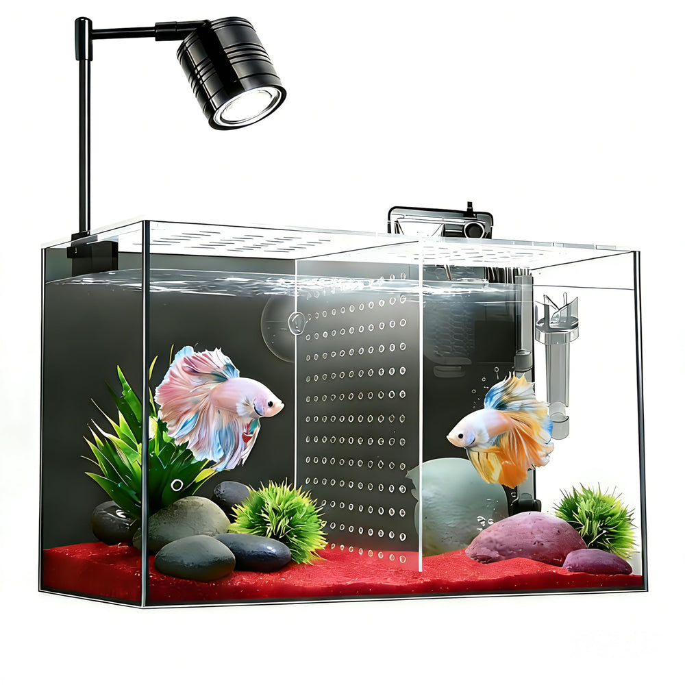 iPriro vue avant du bac 3 gallons montrant design élégant et visibilité