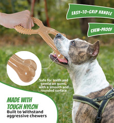 Chien tenant IPTPAS en bouche durant jeu, favorise occupation saine