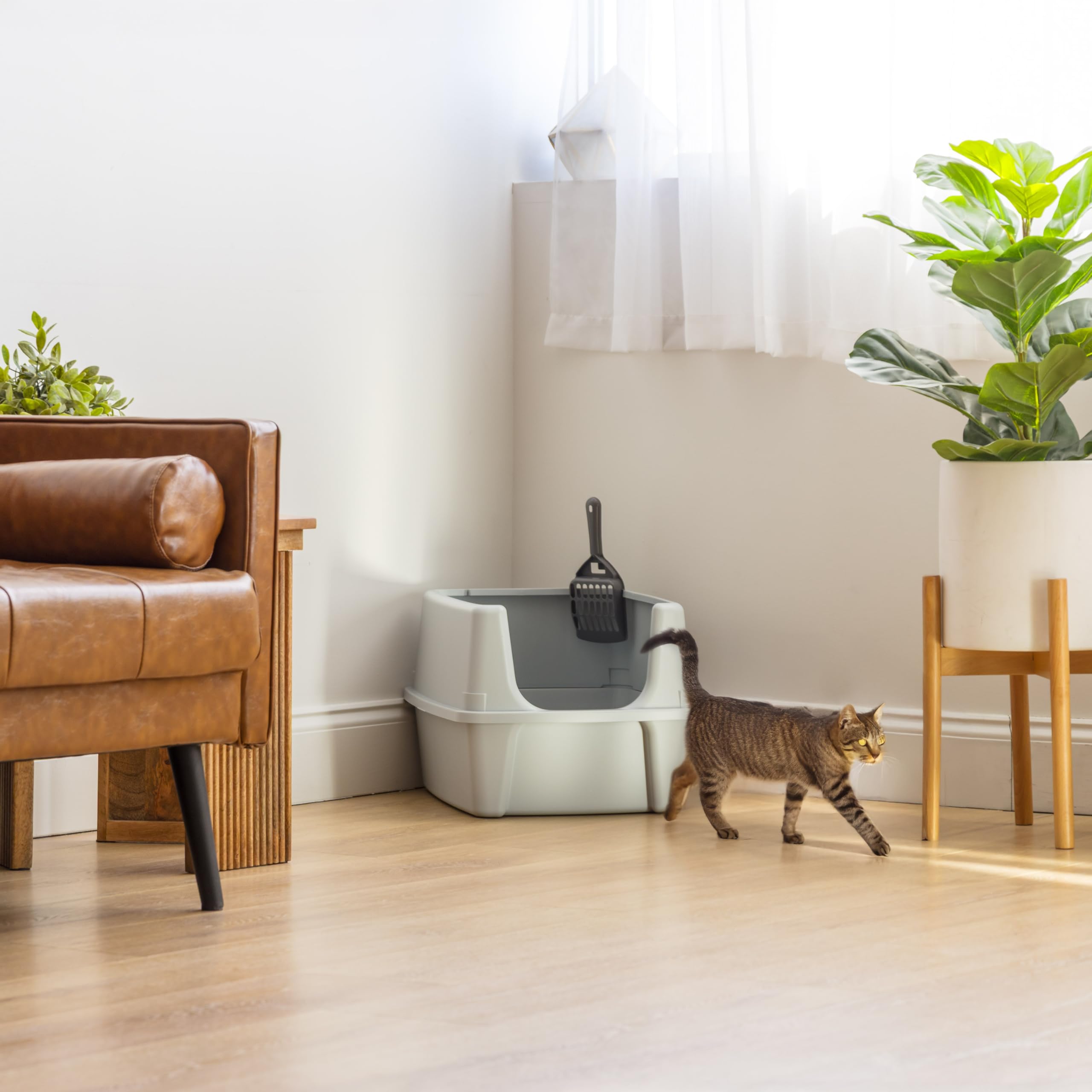 IRIS USA comparaison de taille illustrant l'espace offert pour le chat