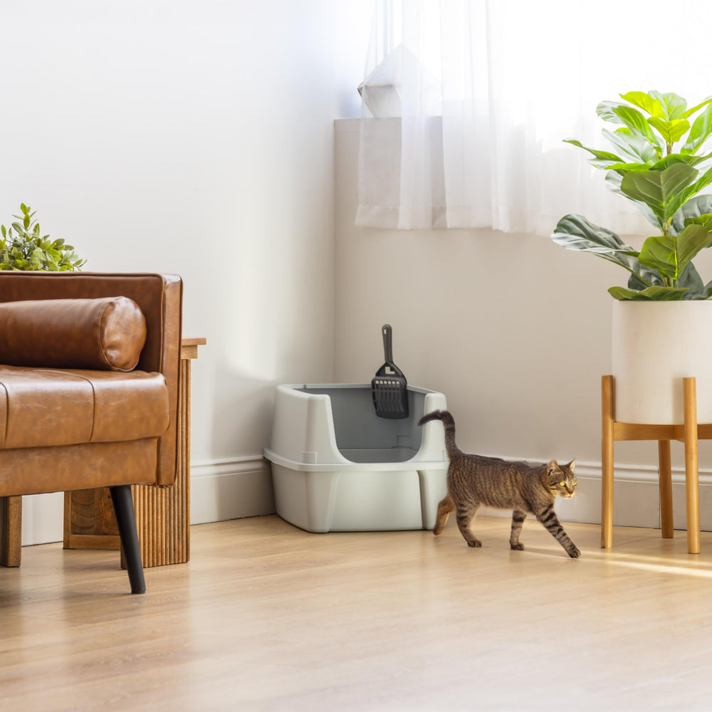IRIS USA comparaison de taille illustrant l'espace offert pour le chat