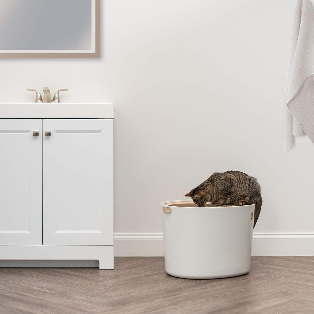 IRIS USA ensemble beige et blanc s'intégrant discrètement au foyer