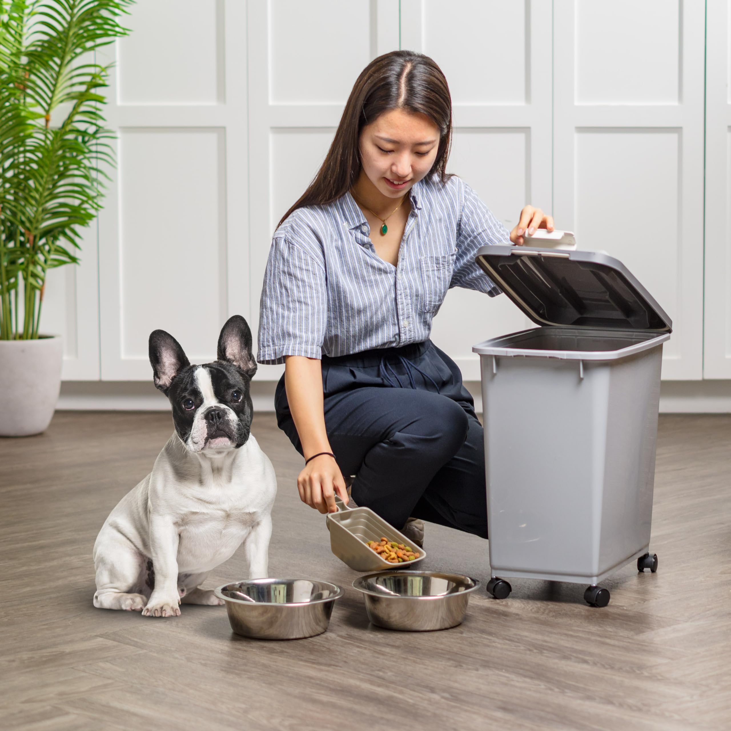 IRIS USA bac rangé dans un garde-manger pour organisation optimisée