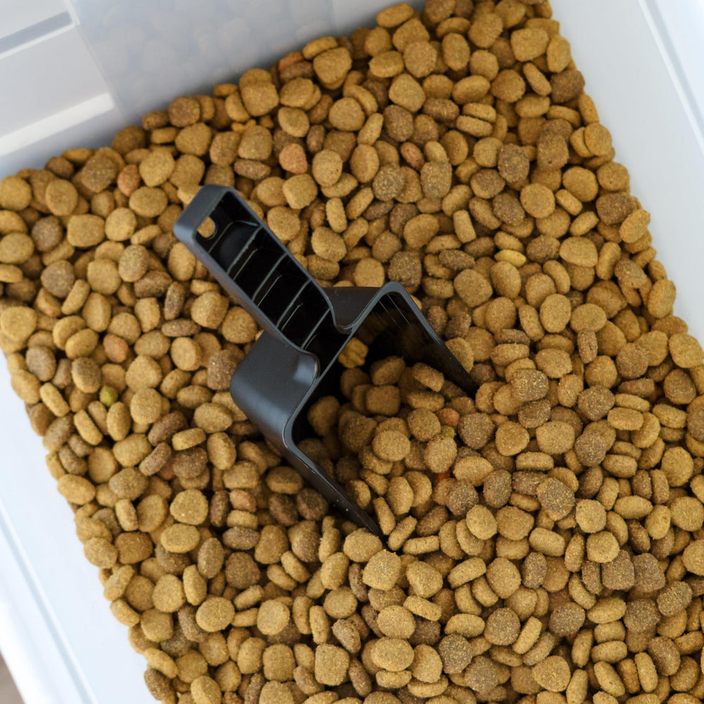 IRIS USA matériau sans BPA garantissant sécurité alimentaire