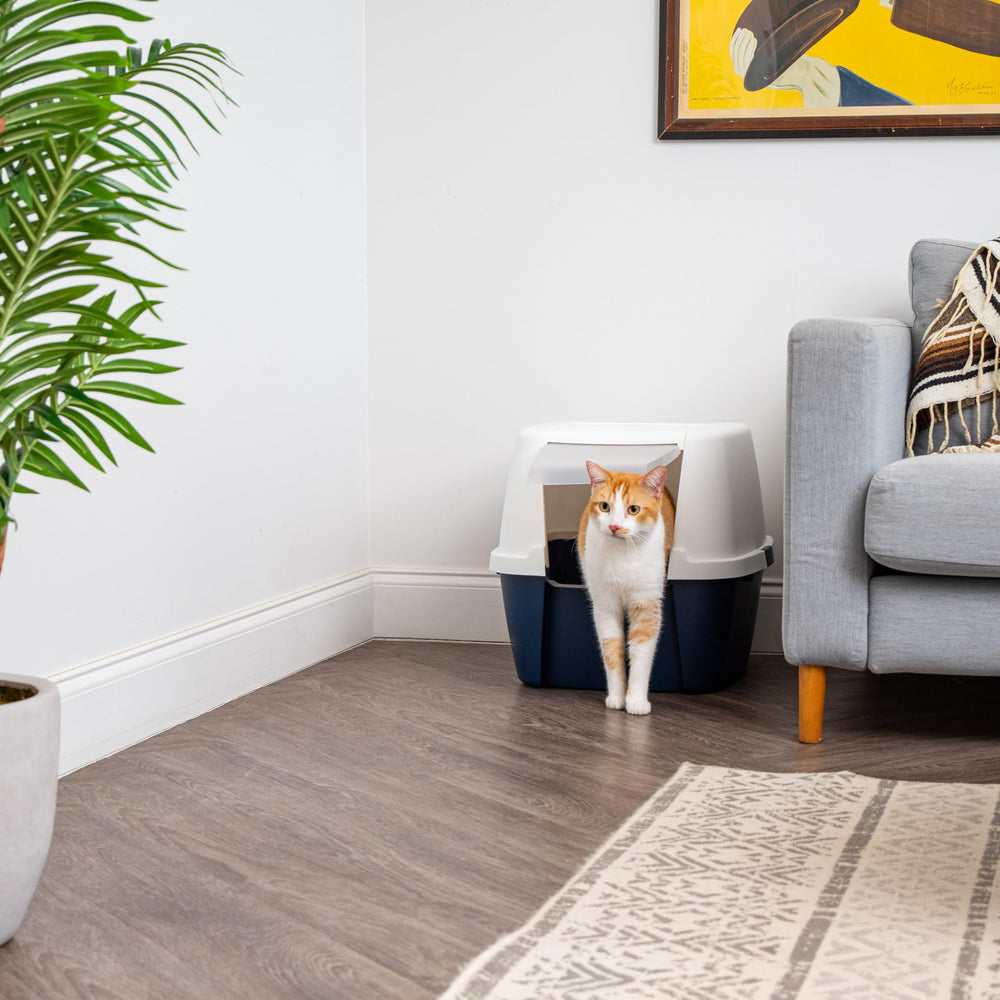 IRIS USA bac en usage avec chat entrant, confort et intimité visibles