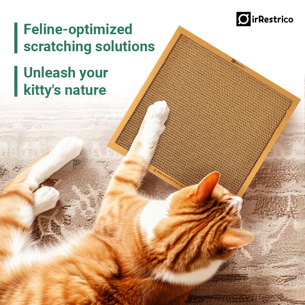 IRRESTRICO chat se reposant sur le griffoir, surface confortable multifonction