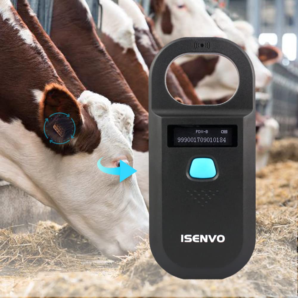ISENVO scanner en train de lire une puce sur un chien pour identification