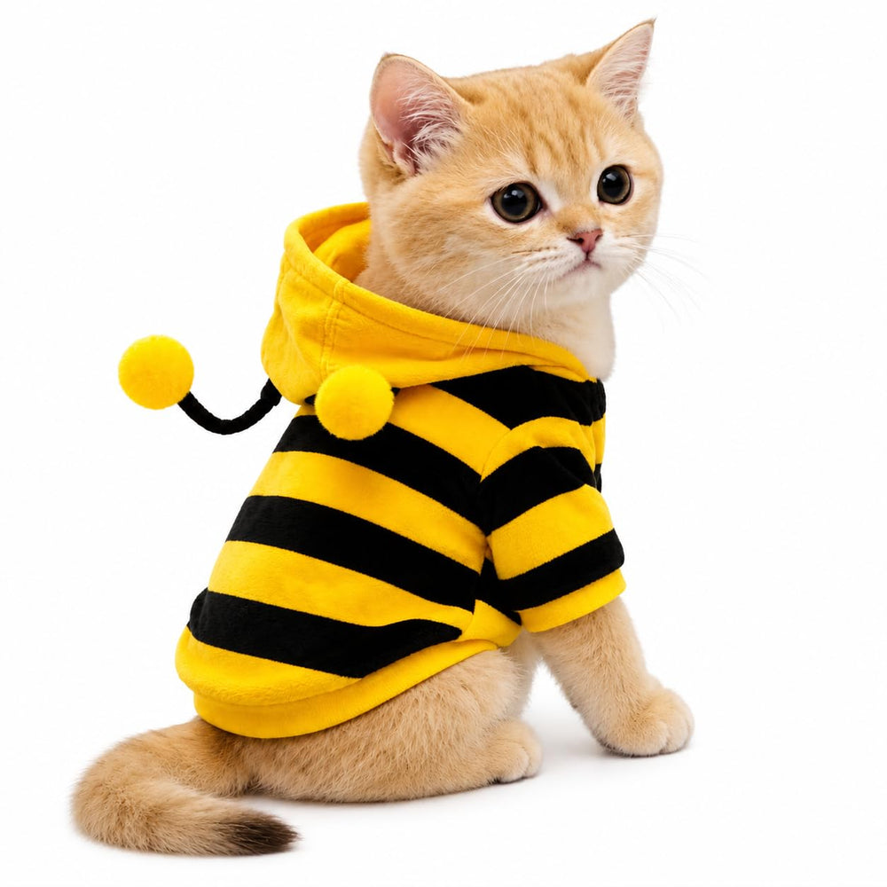 ISMARTEN costume abeille face montré sur petit chien, look festif et bien ajusté