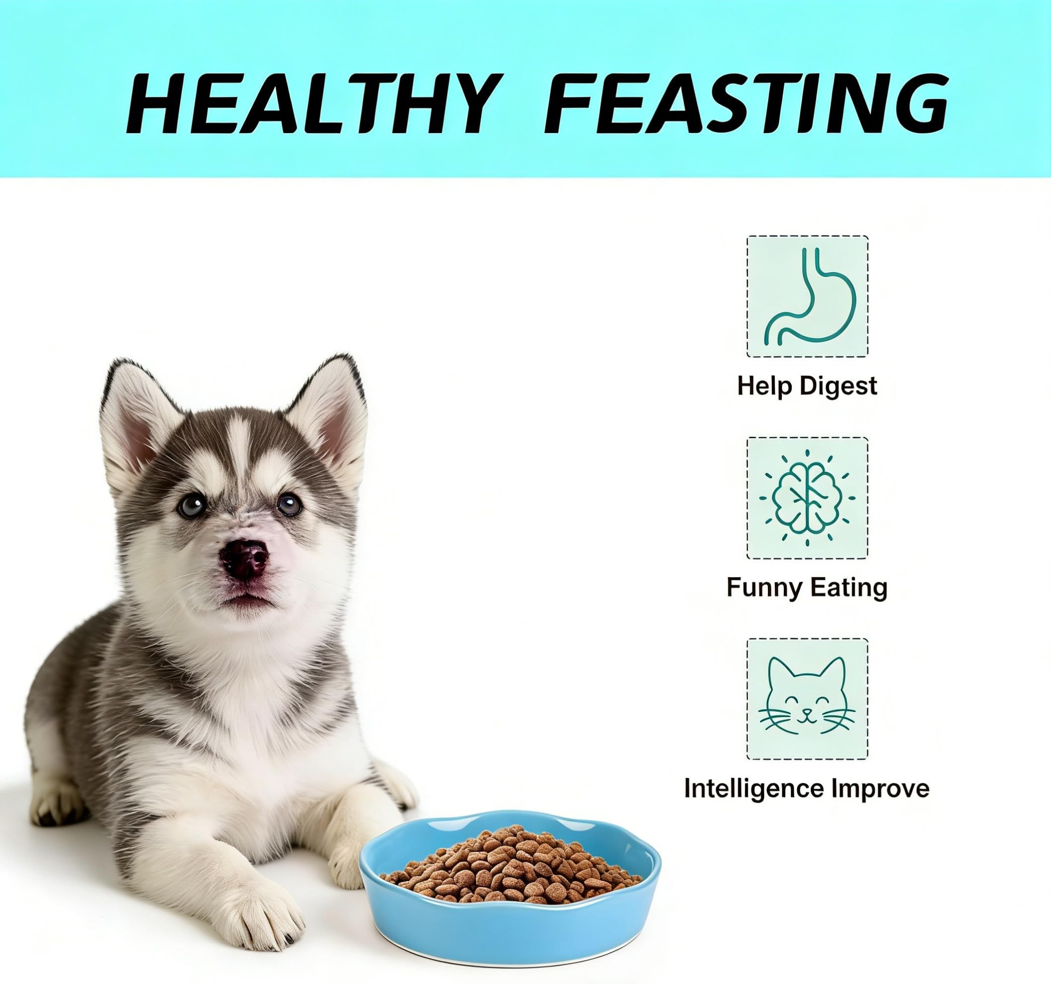 ITISMUNGO gamelle utilisée par un Corgi pour réduire la vitesse d'alimentation