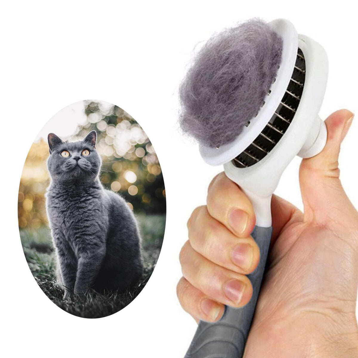 itPlus vue avant de la brosse montrant le design et l’emballage, facilite le choix