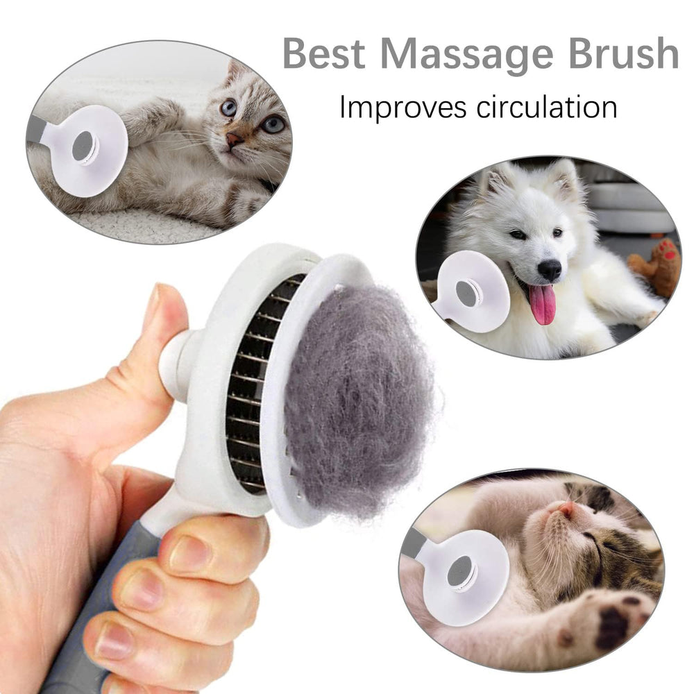 itPlus brosse posée dans un salon animalier illustrant usage domestique apaisant