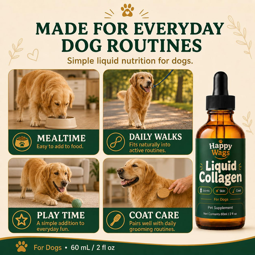 IvaKey Happy Wags bouteille dans sac de voyage soulignant portabilité