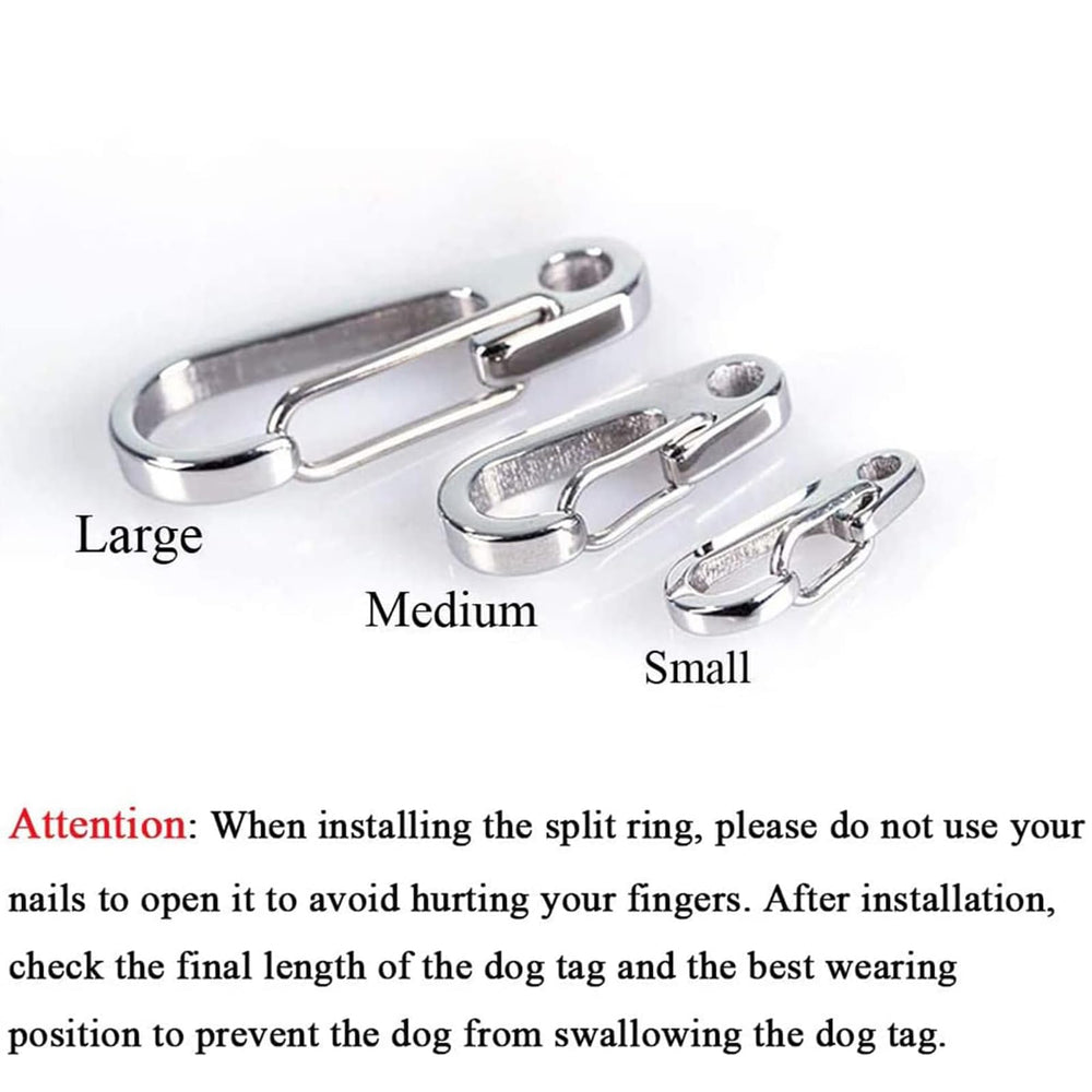 IVIA PET clip sur chien en promenade montrant tenue sûre