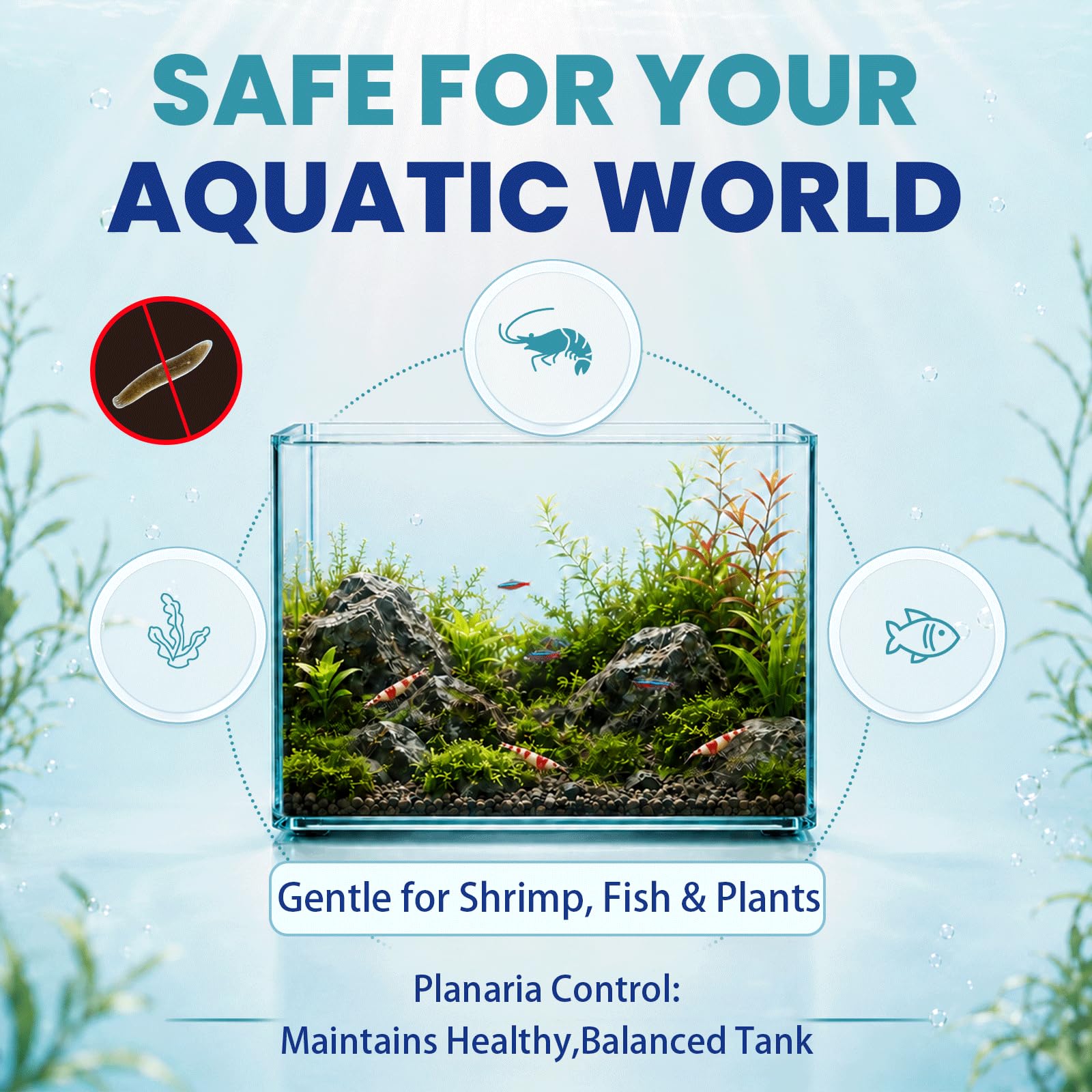 ivormetn aquarium avec crevettes environnement plus stable