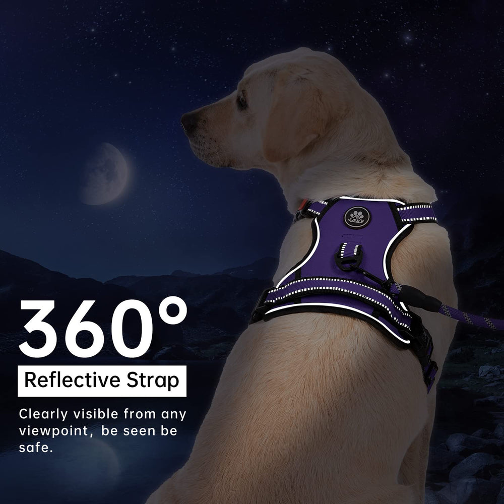 IVY&LANE laisse ceinture rétractable et sangle de rangement pratique